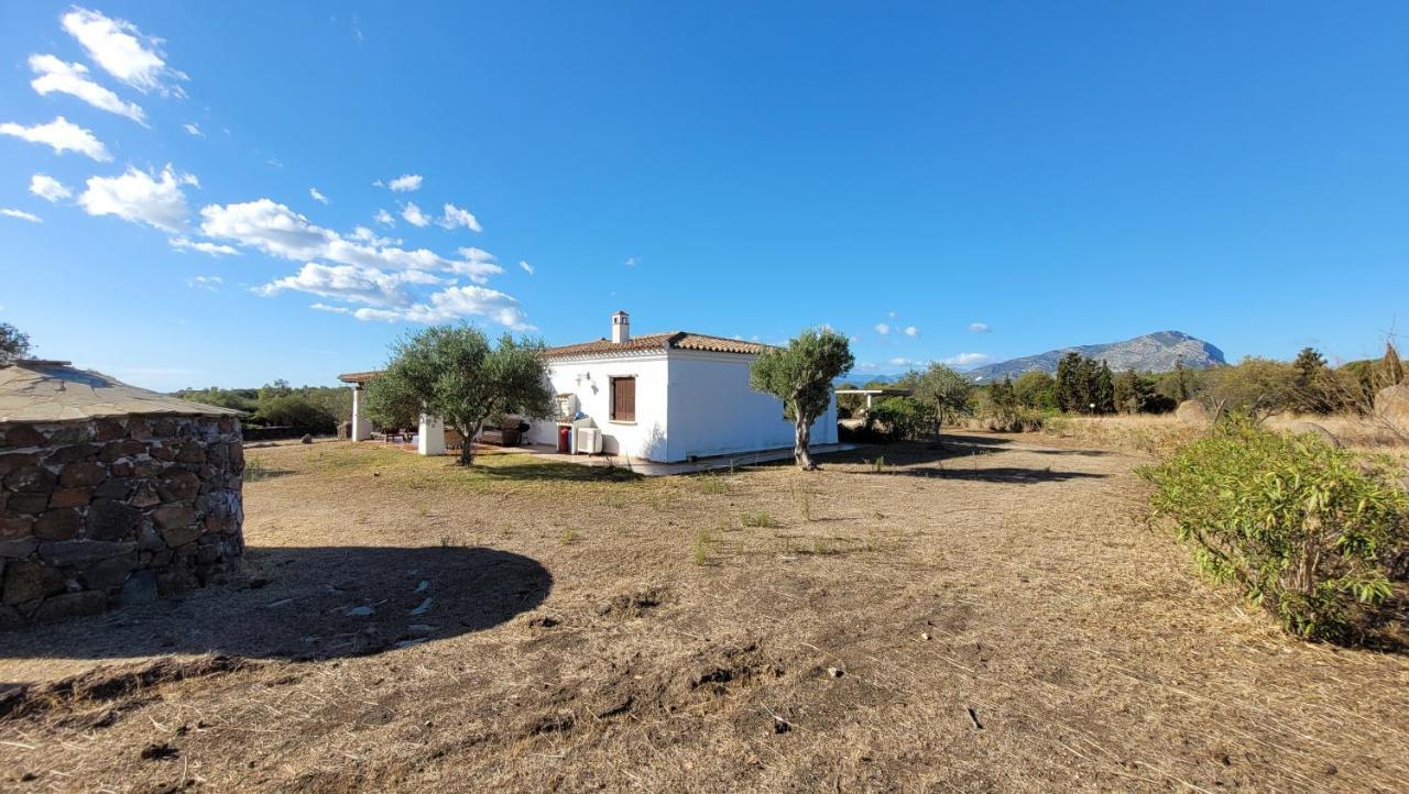 Villa Casa Mate Orosei Exterior foto